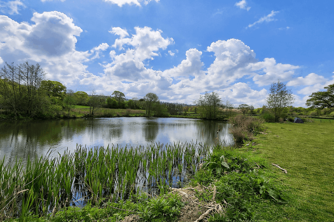 Relaxing Fishing lakes at The Victorian Barn Dorset