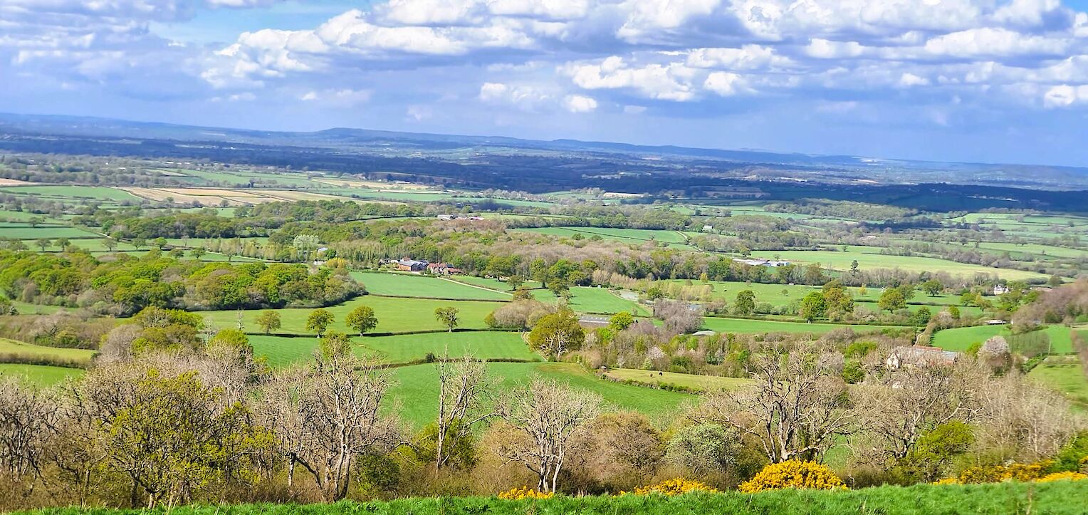 Panoramic view of Dorset countryside near The Victorian Barn, perfect for scenic walks from the doorstep